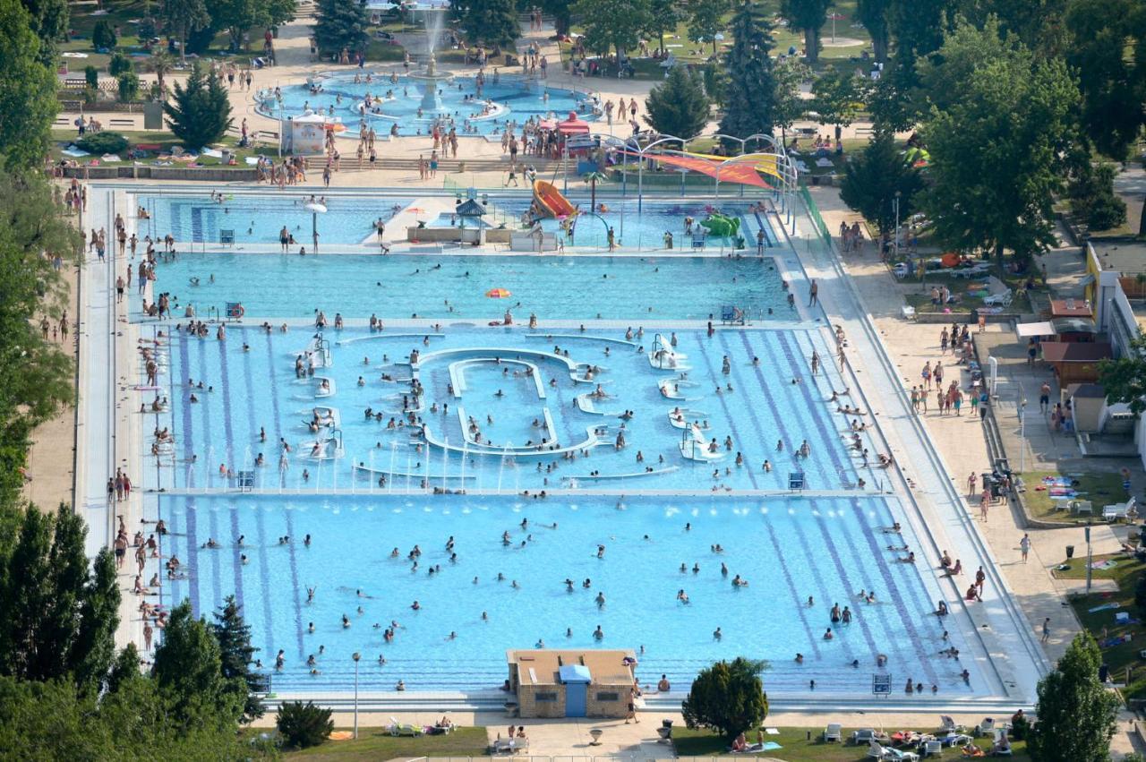 Island Hostel Budapest (Adults Only) Eksteriør bilde Aerial view of the swimming pool